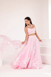 Raag Kedar (Handpainted Baby Pink Lehenga on Pure Organza)