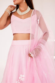 Raag Kedar (Handpainted Baby Pink Lehenga on Pure Organza)