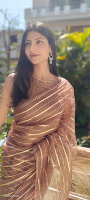 Choco Bliss (Saree + Picco+Fall+Stitched Blouse)