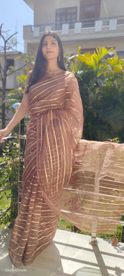 Choco Bliss (Saree + Picco+Fall+Stitched Blouse)