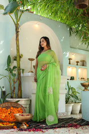 Amber Green (Hand Embroidered Chiffon Green Saree)