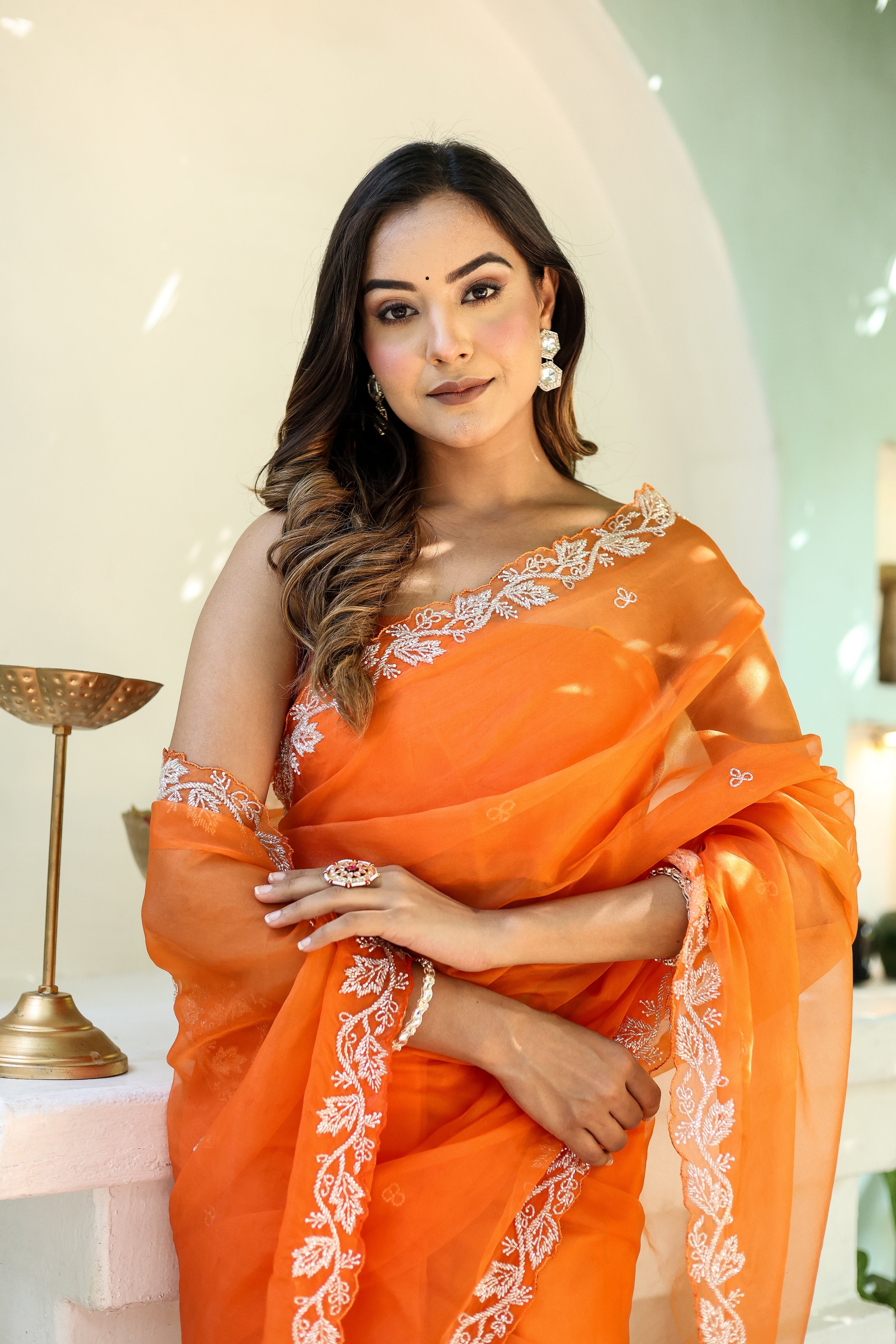 Dreamy Veil (Hand Embroidered Organza Orange Saree)