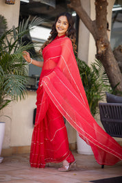 Rose Glow (Red Hand Embroidered Chiffon saree)