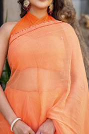 Saffron Glow (Hand Embroidered Chiffon Saree)