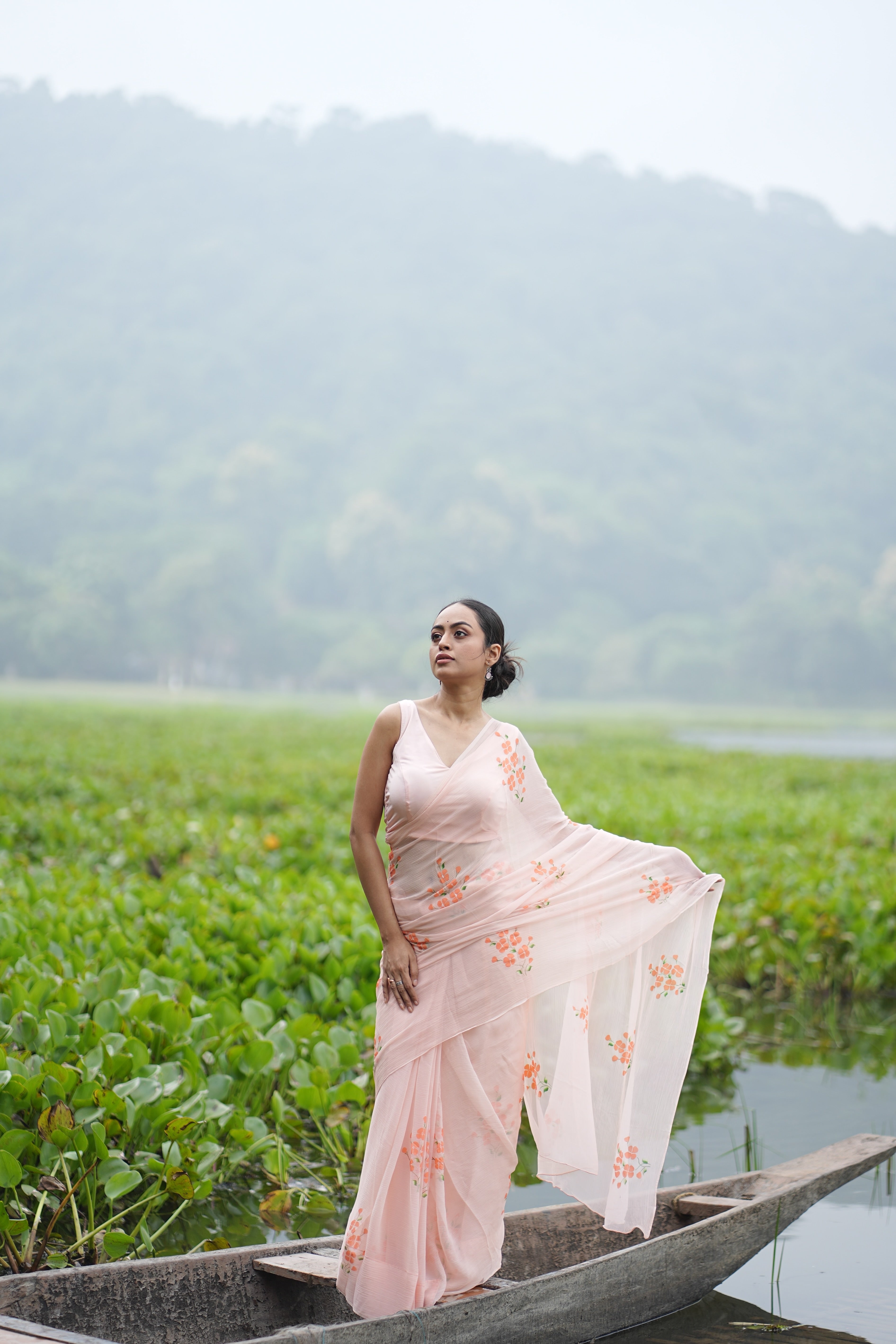 Apricot Bloom (Pure Chiffon Hand Painted Saree)