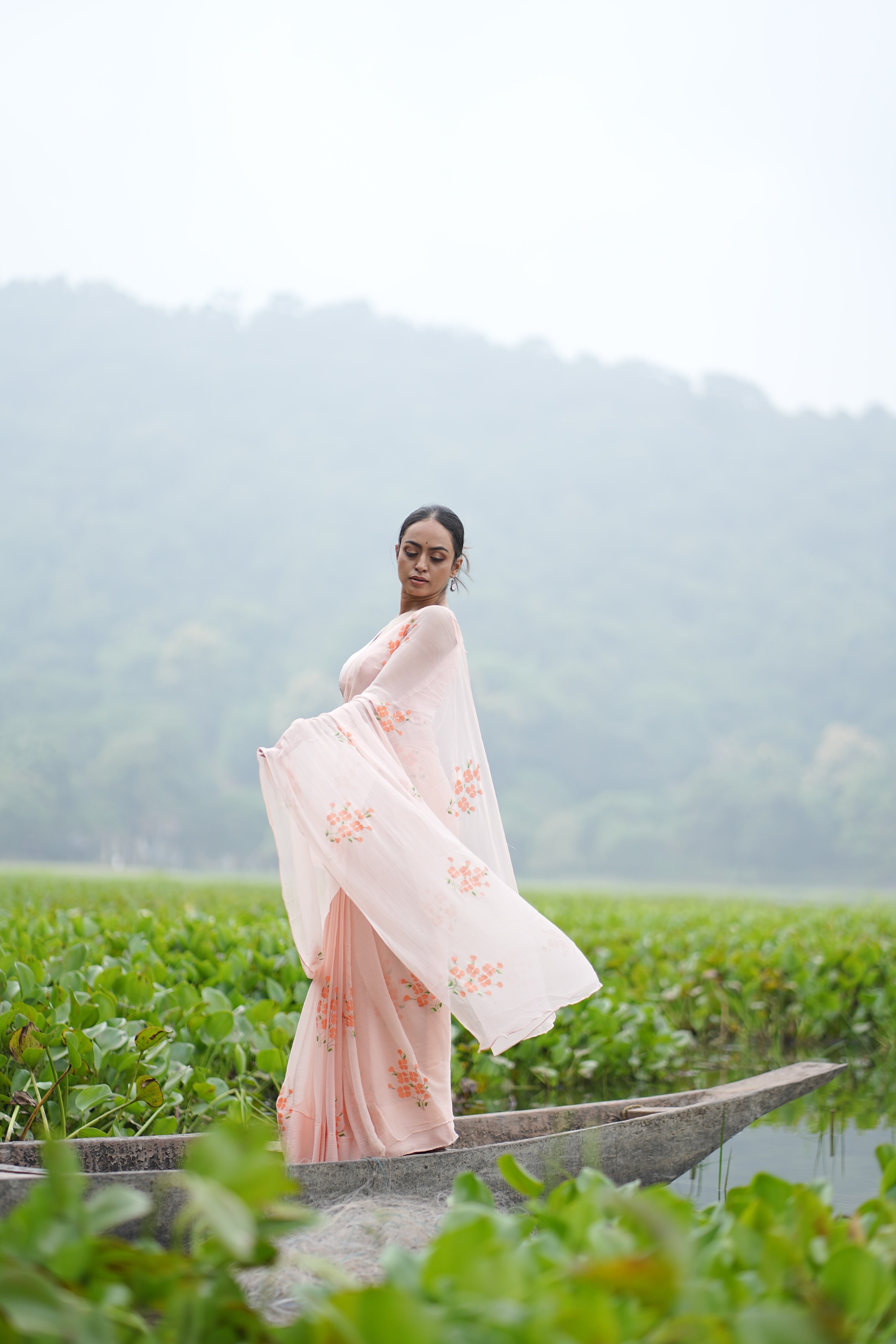 Apricot Bloom (Pure Chiffon Hand Painted Saree)
