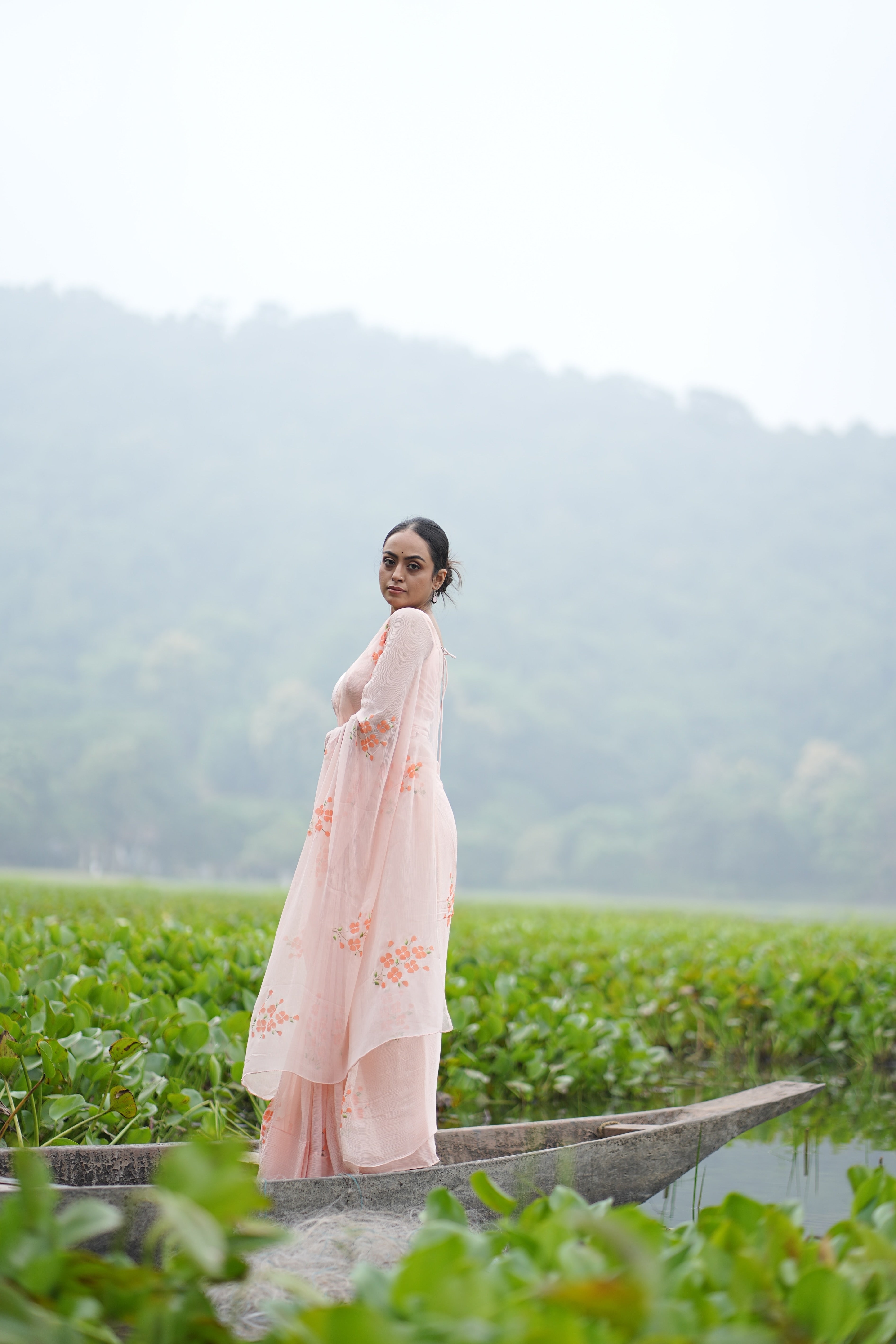 Apricot Bloom (Pure Chiffon Hand Painted Saree)