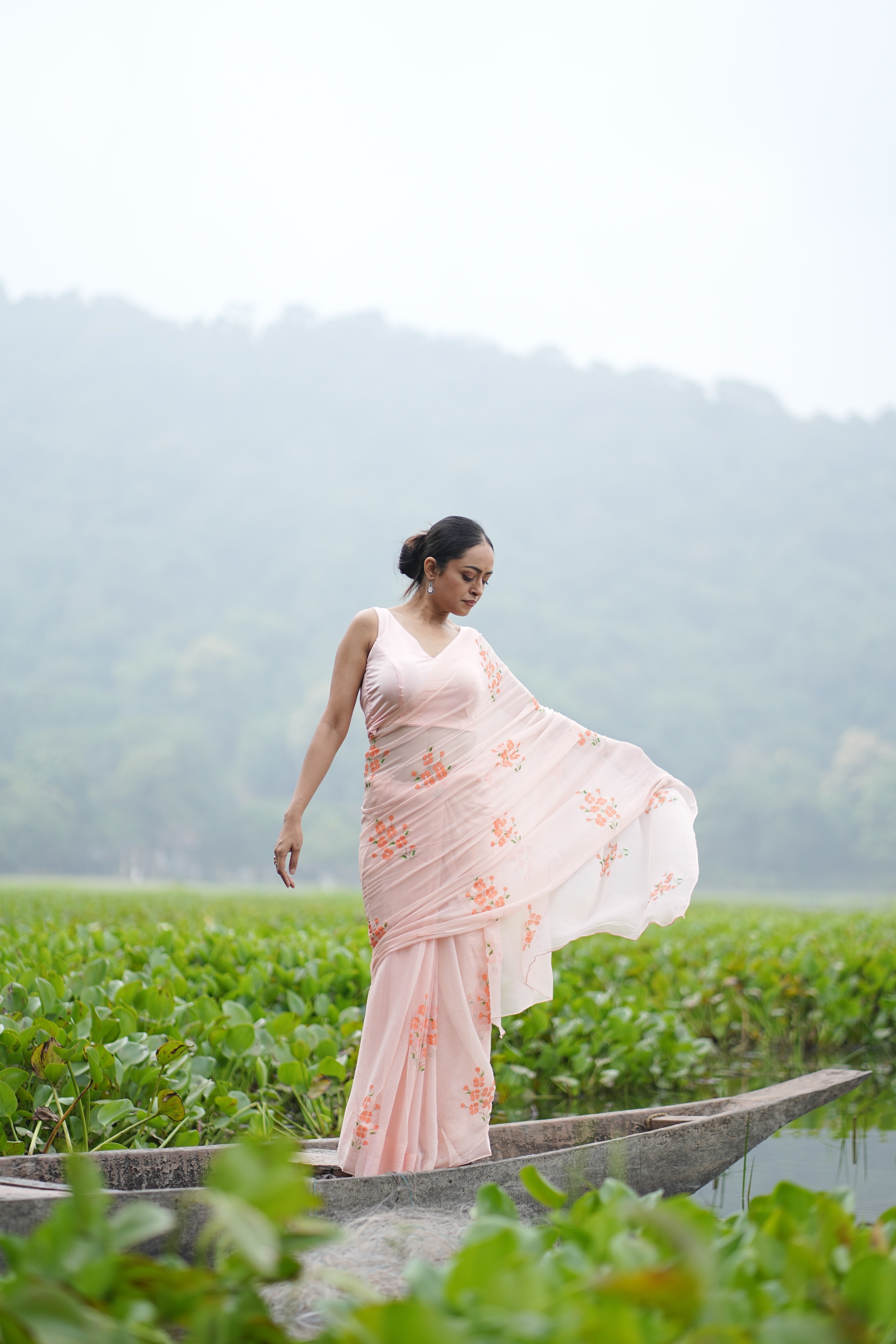 Apricot Bloom (Pure Chiffon Hand Painted Saree)