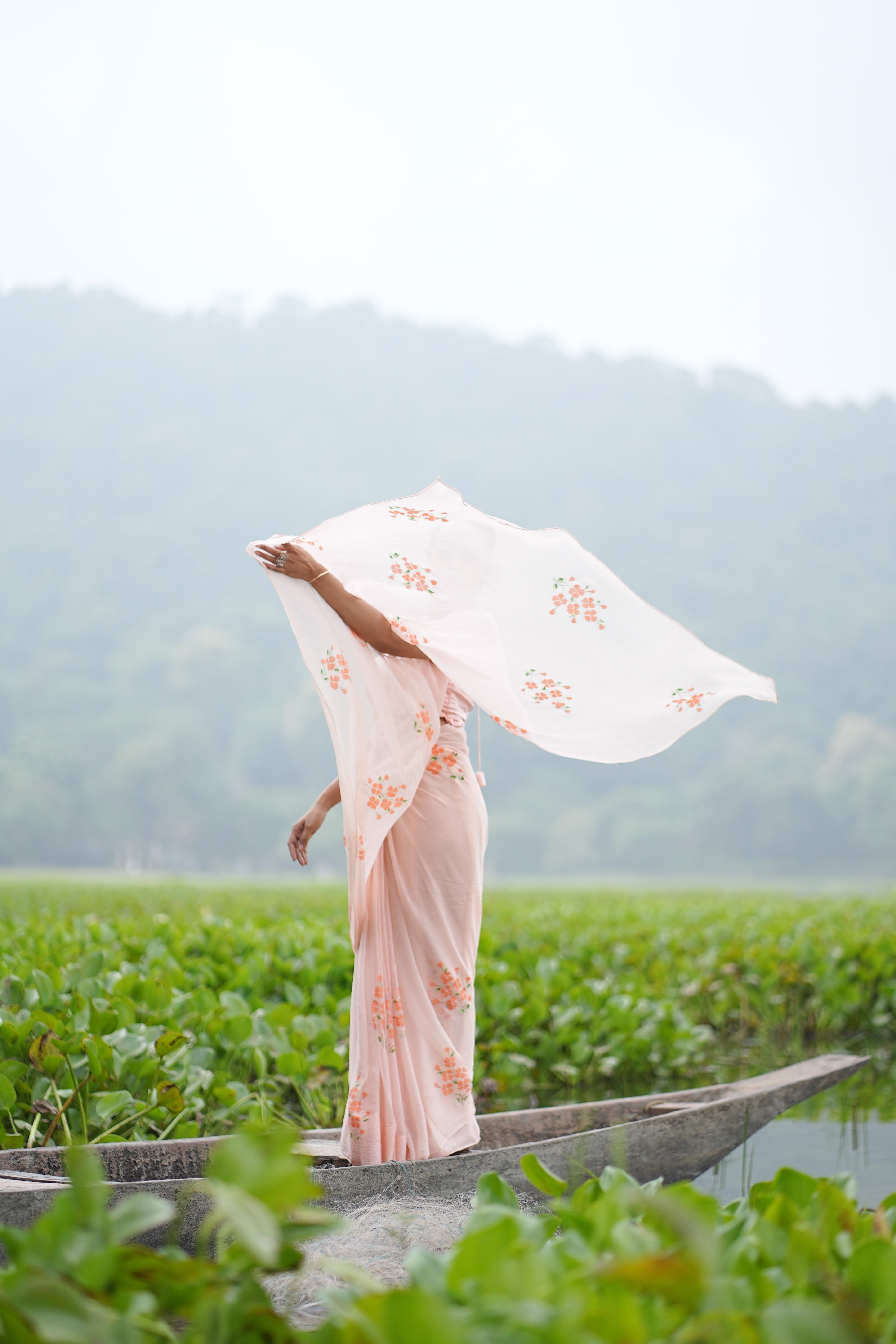 Apricot Bloom (Pure Chiffon Hand Painted Saree)