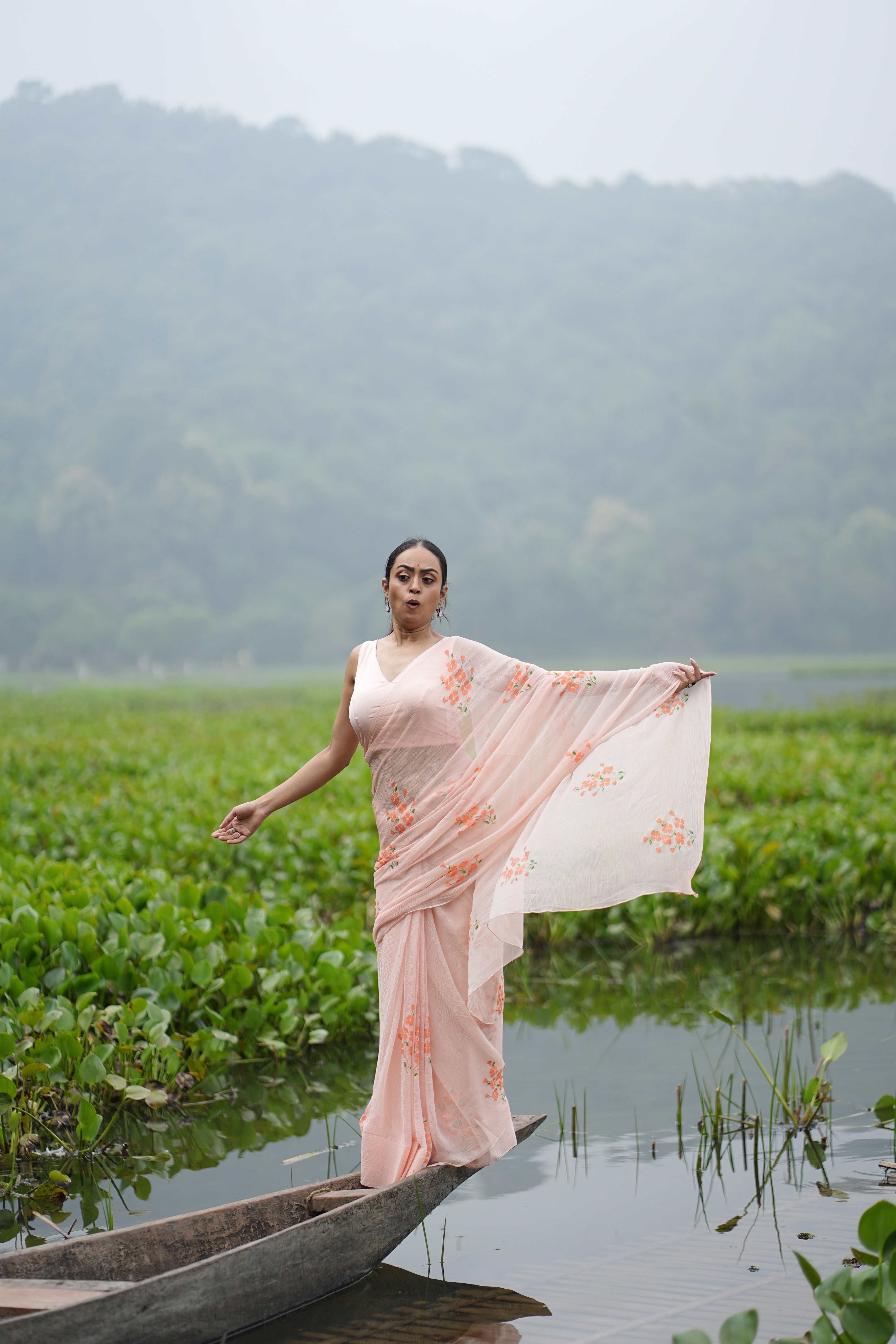 Apricot Bloom (Pure Chiffon Hand Painted Saree)