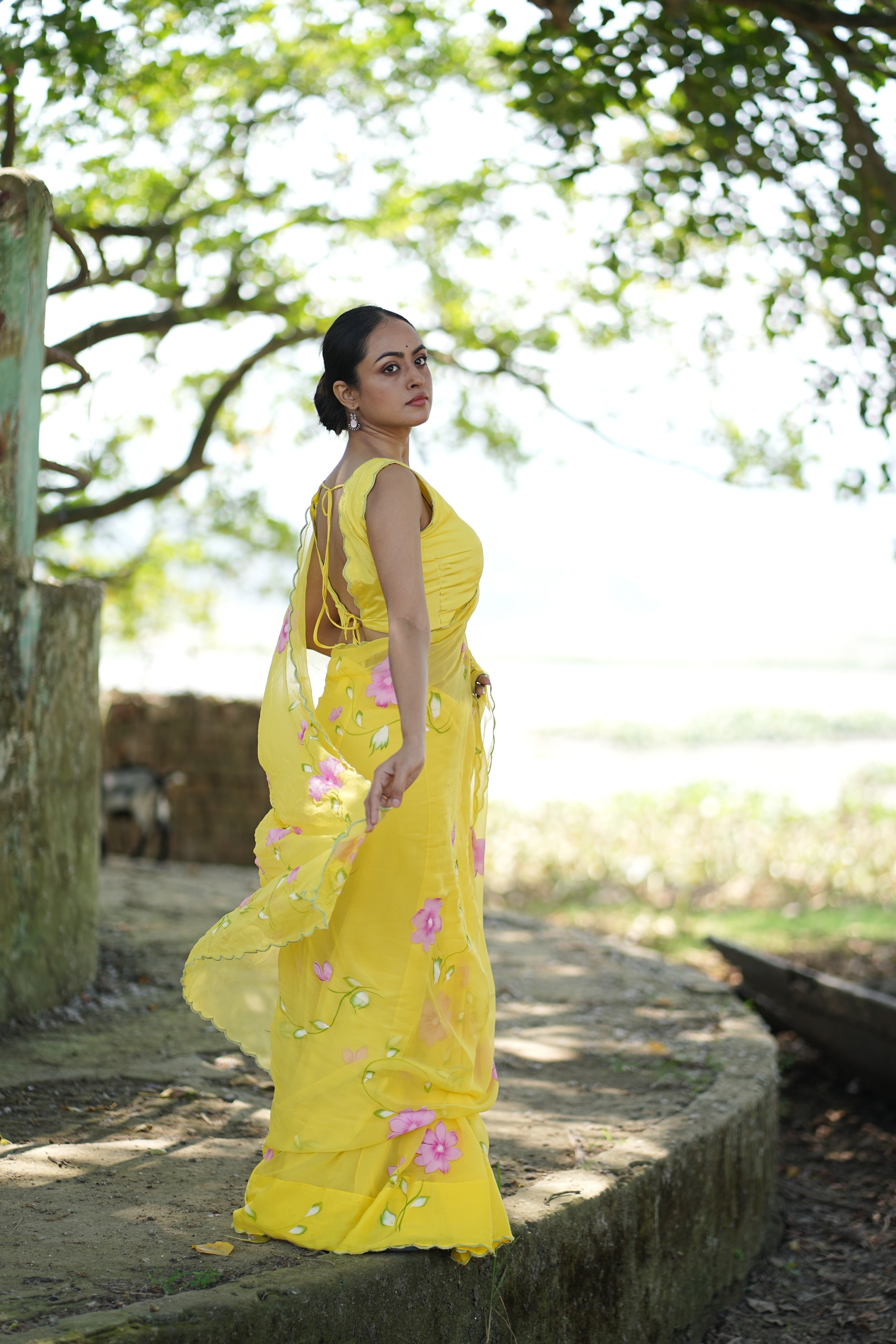 Primrose Glow (Pure Chiffon Hand Painted Saree)
