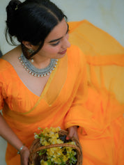 Golden Hush (Orange Chiffon Zari Border Chiffon Saree)