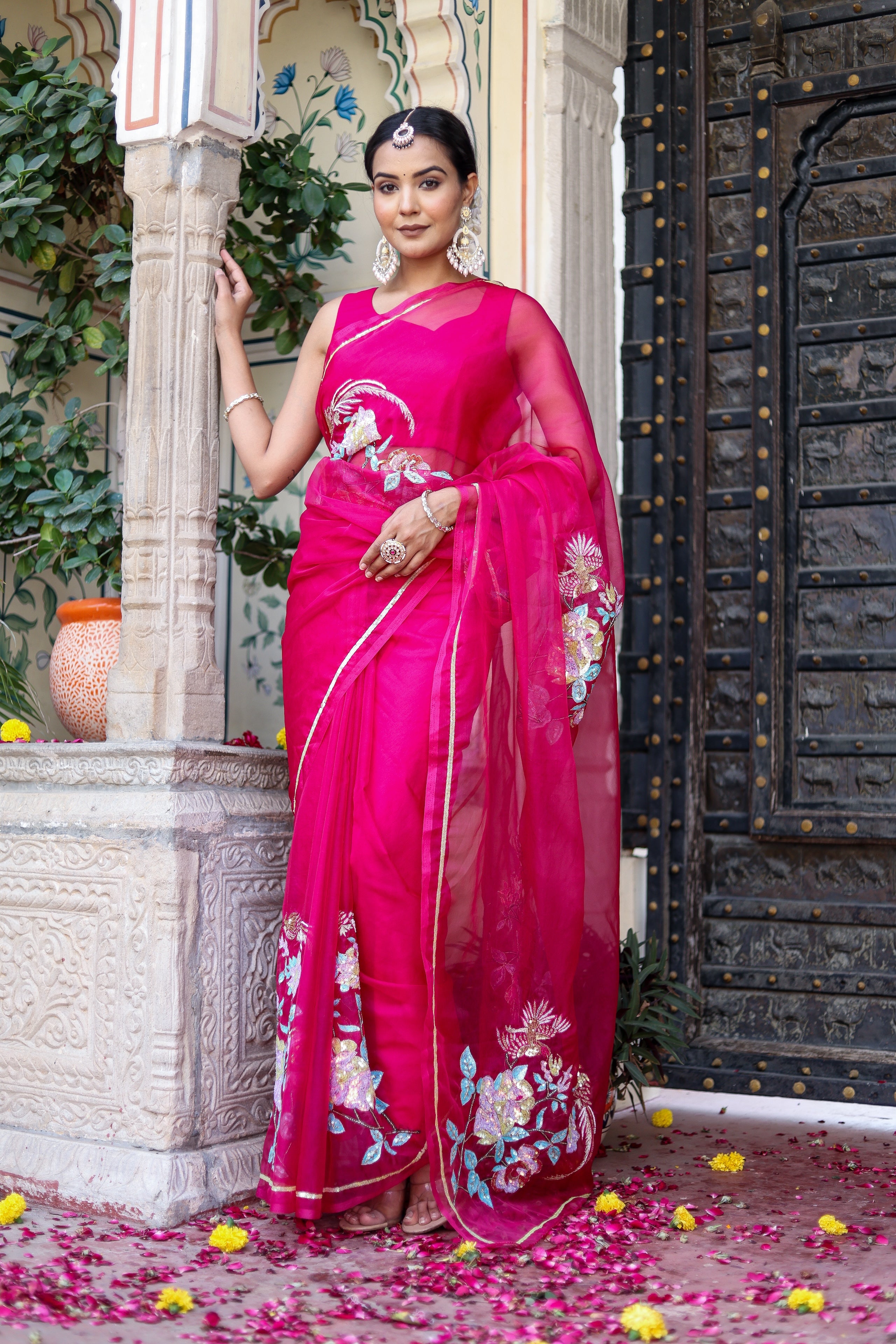 Hand Embroidered Organza Saree