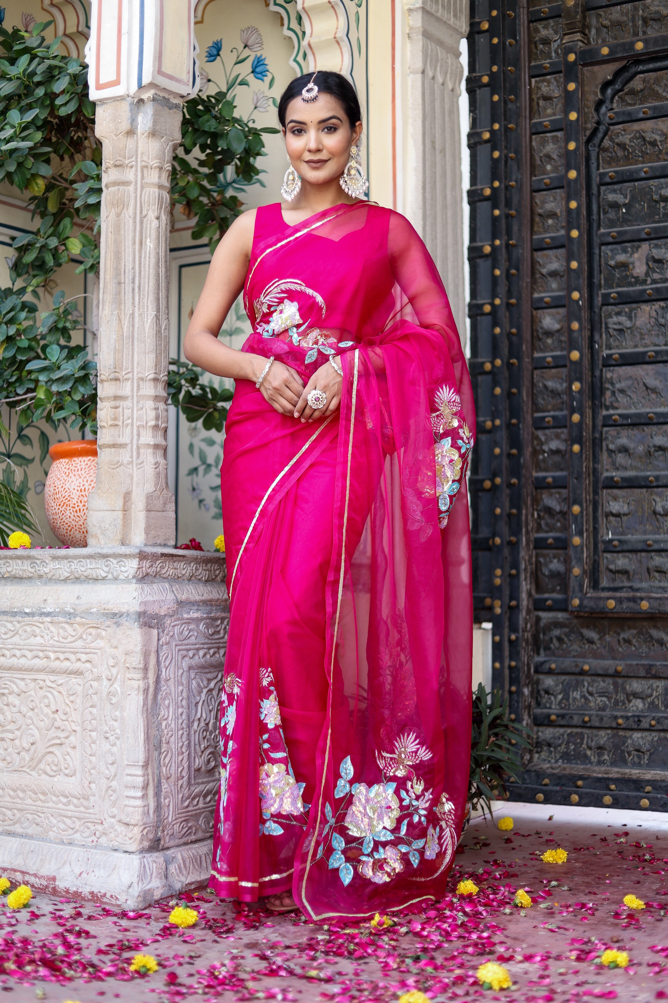 Hand Embroidered Organza Saree