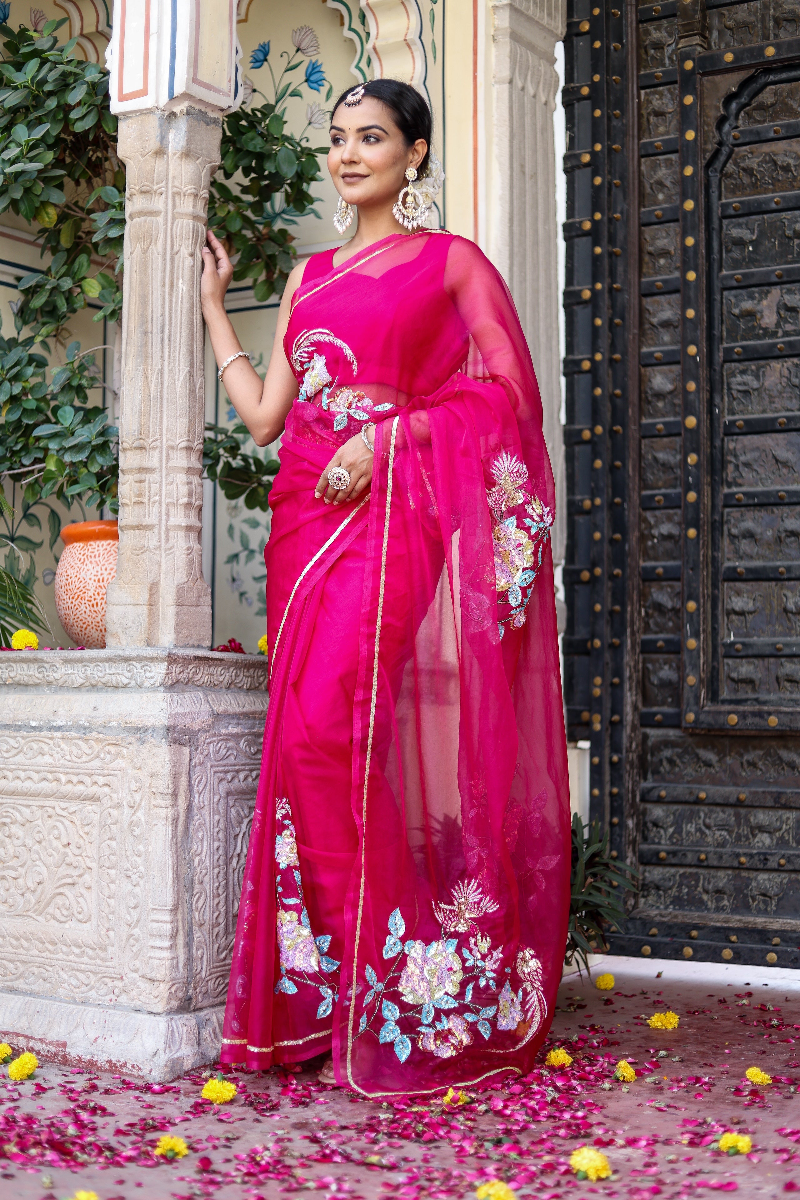 Hand Embroidered Organza Saree