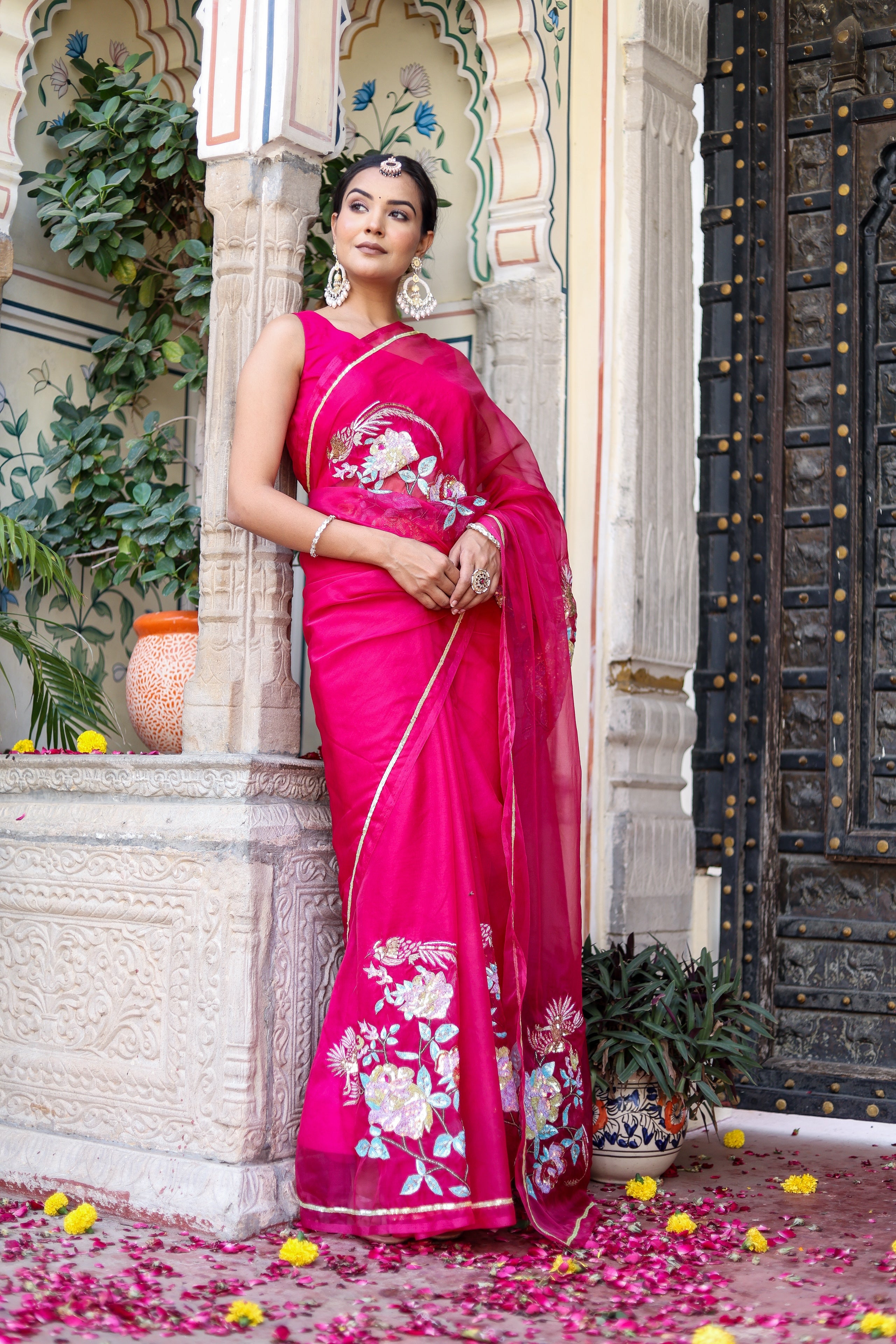 Hand Embroidered Organza Saree