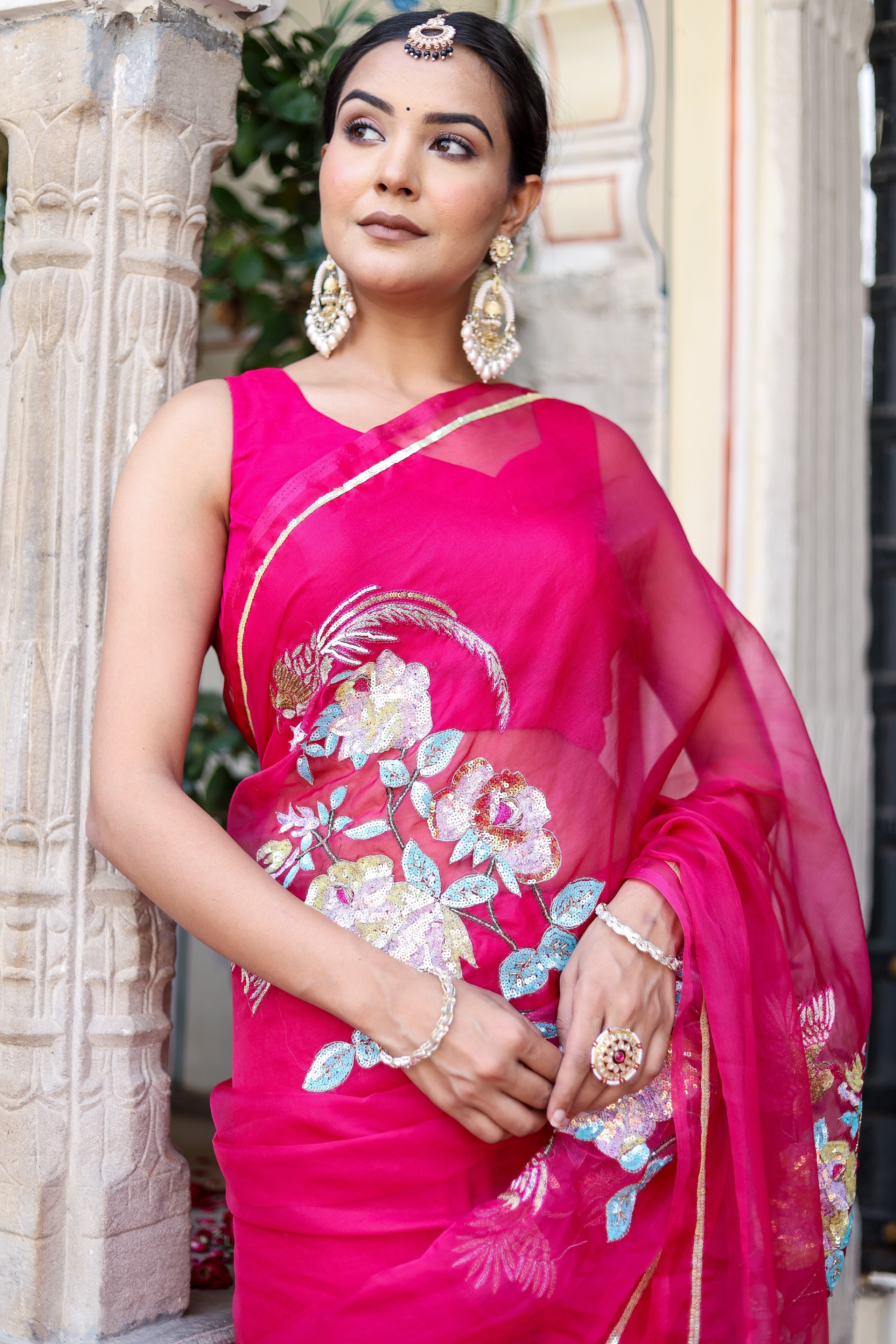 Hand Embroidered Organza Saree