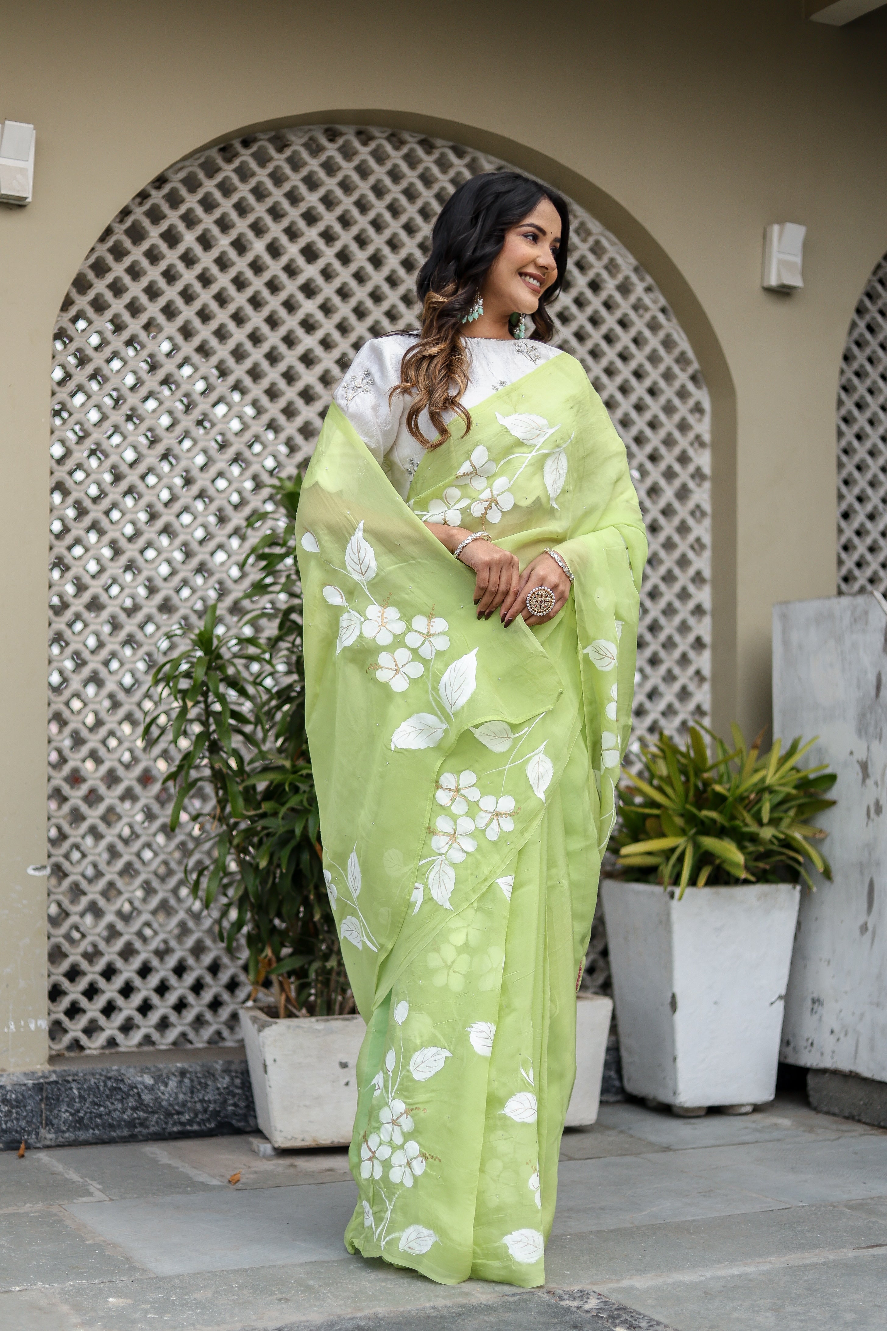 Jade Breeze (Handpainted Mukaish Viscose Organza Green Saree)