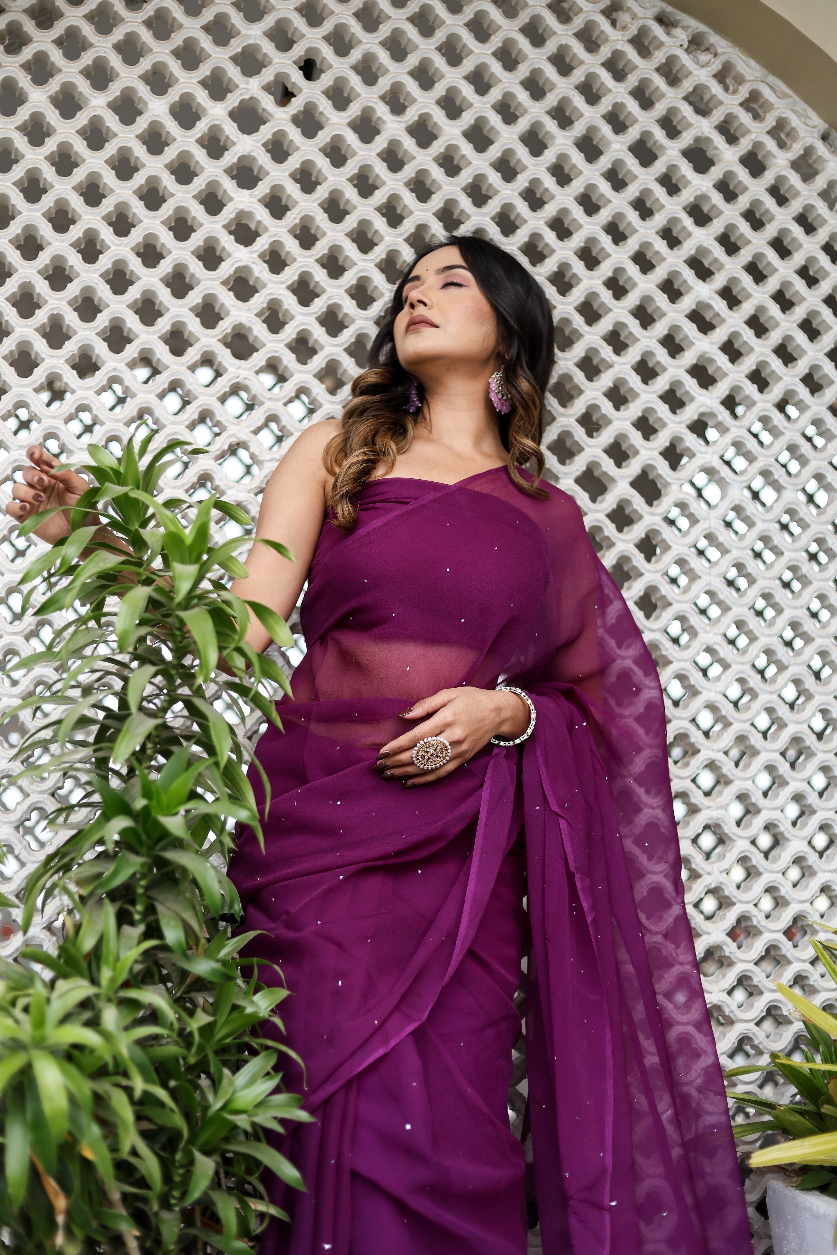 Plum Haze (Mukaish Chiffon Purple Saree)