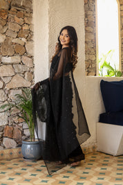 Black Mukaish Chiffon Saree