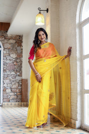 Golden Breeze (Embroidered Organza Saree)