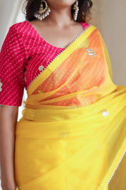 Golden Breeze (Embroidered Organza Saree)