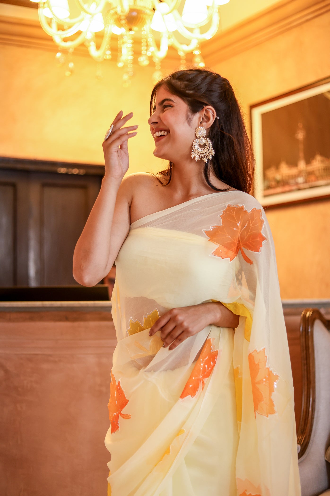Sunlit Maple (Embroidered & Handpainted Chiffon Saree)