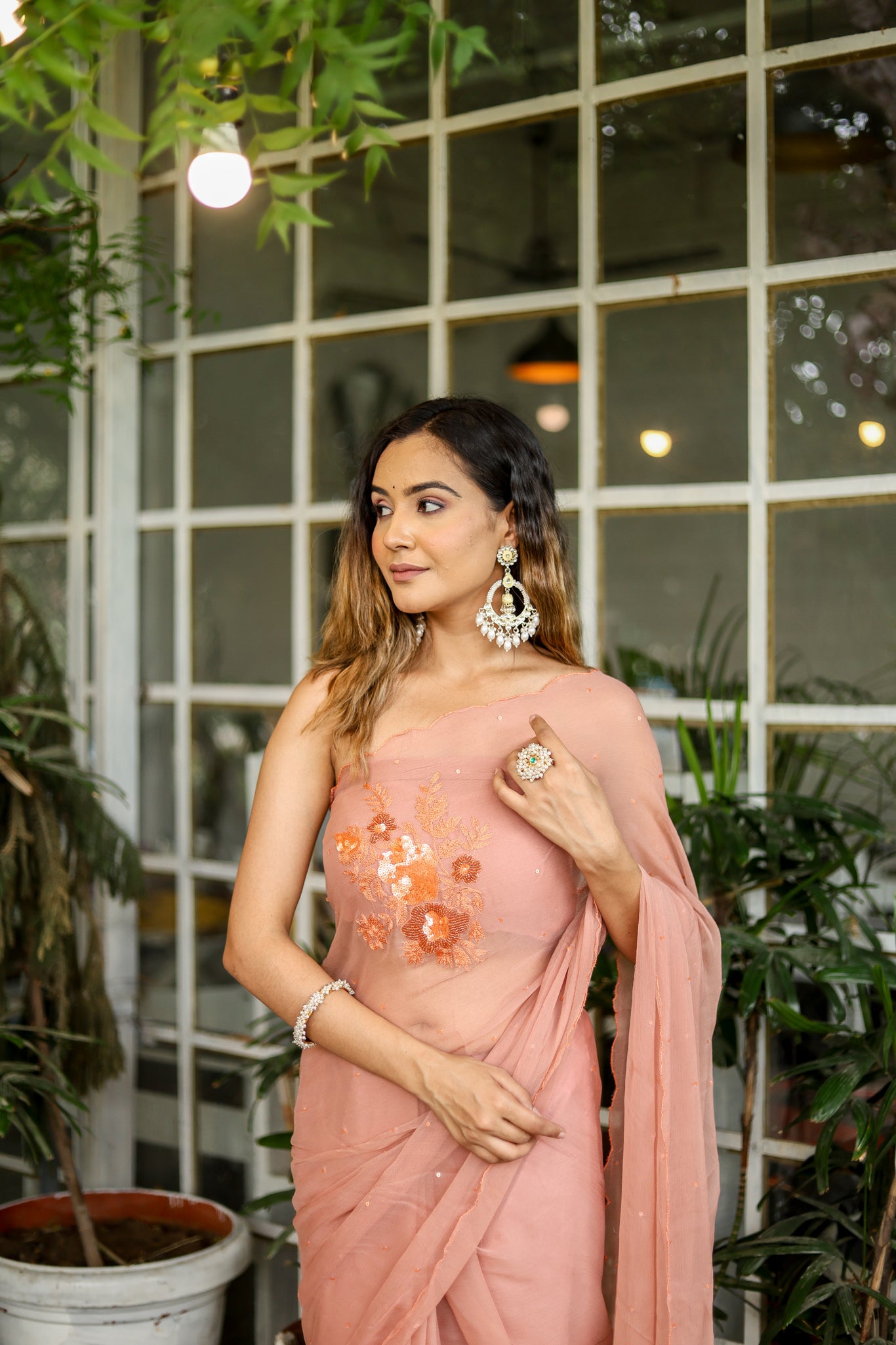 Chiffon Charisma (Hand Embroidered Chiffon Saree)