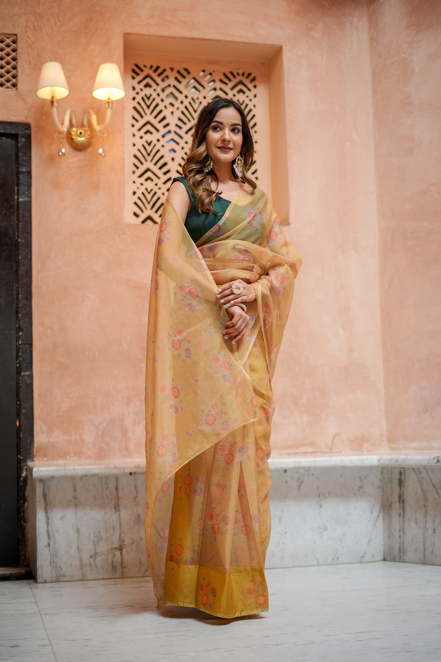 Golden Glow (Printed Organza Saree)