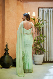 Spring Chiffon (Hand Embroidered Chiffon Saree)