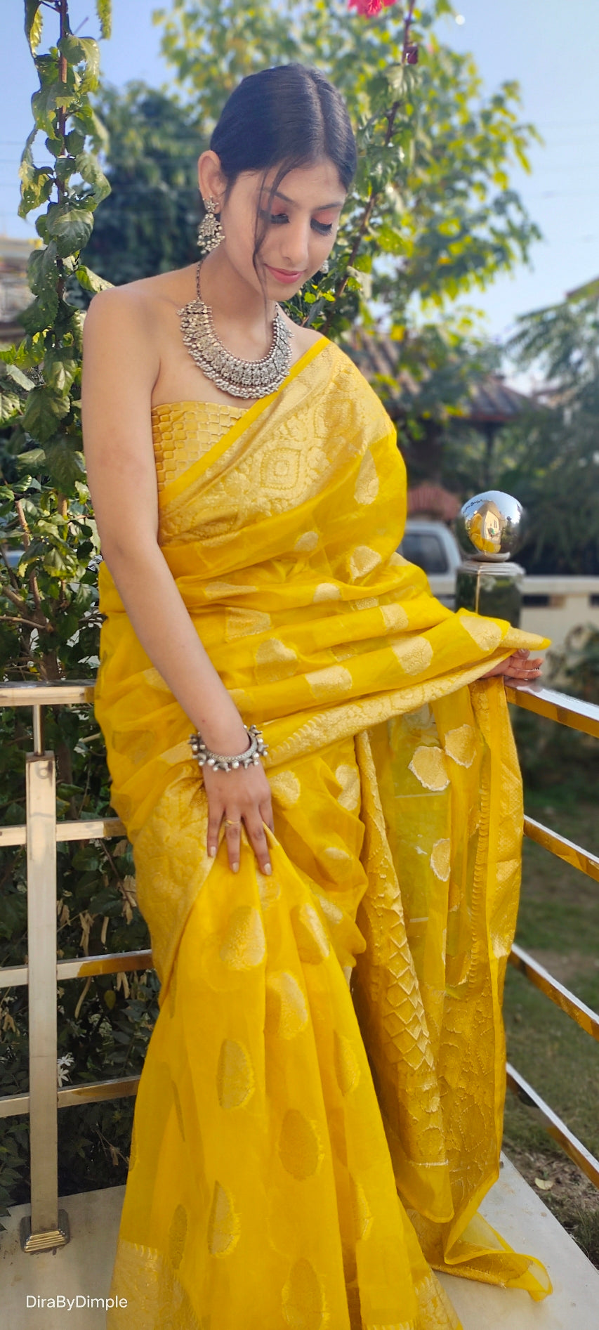 Royal Radiance (Banarasi Silk Organza Saree in Mustard Yellow)