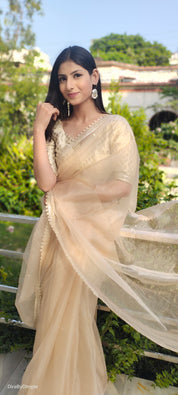Lustrous Royalty (Organza Saree with Lave border)