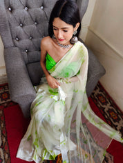Pure Chiffon Saree in Green and White